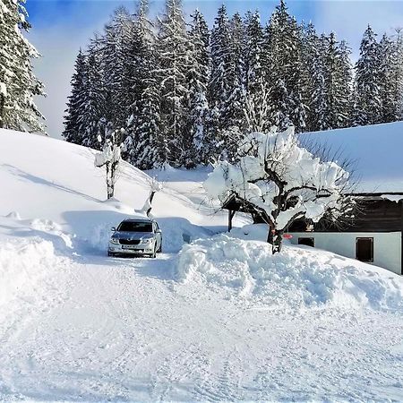 Natur Pur Pikovo Villa Črna na Koroškem Kültér fotó