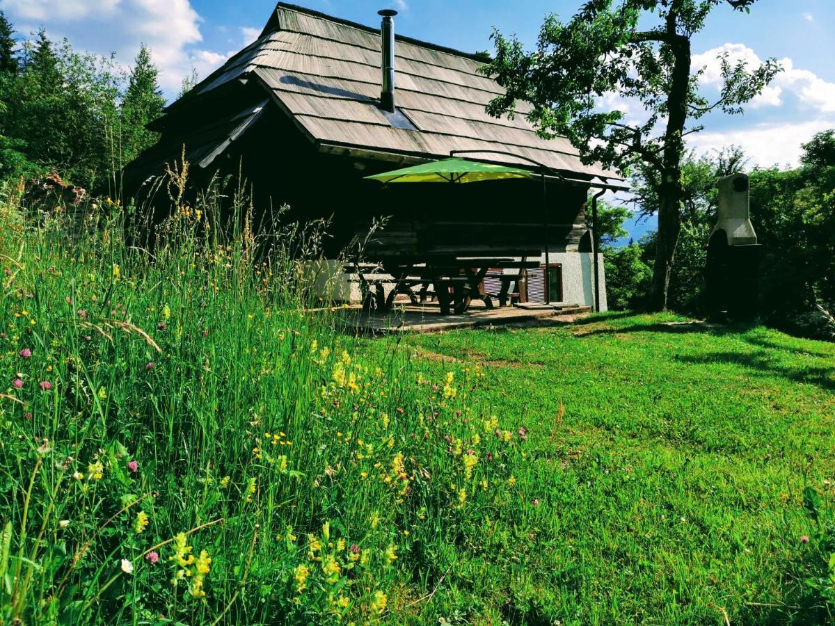 Natur Pur Pikovo Villa Črna na Koroškem Kültér fotó