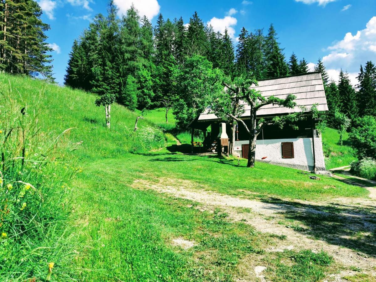 Natur Pur Pikovo Villa Črna na Koroškem Kültér fotó