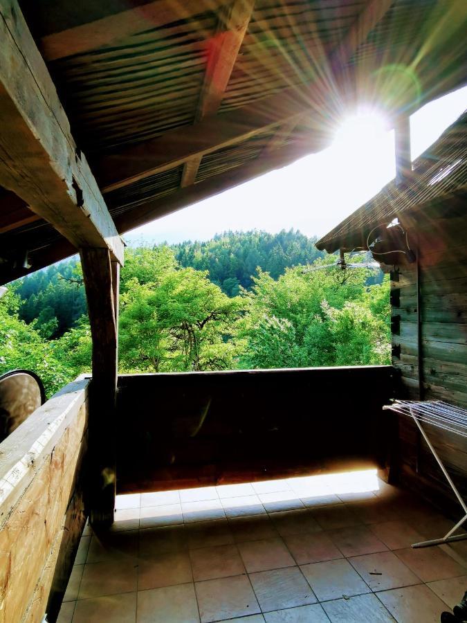 Natur Pur Pikovo Villa Črna na Koroškem Kültér fotó