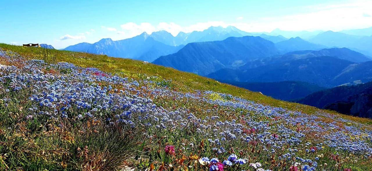 Natur Pur Pikovo Villa Črna na Koroškem Kültér fotó