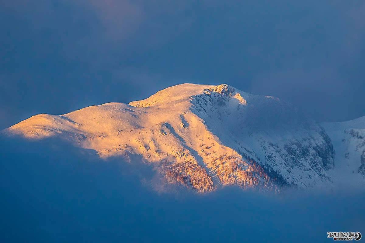 Natur Pur Pikovo Villa Črna na Koroškem Kültér fotó