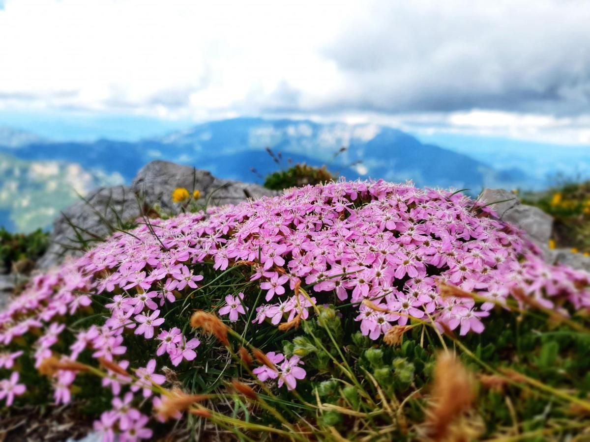 Natur Pur Pikovo Villa Črna na Koroškem Kültér fotó