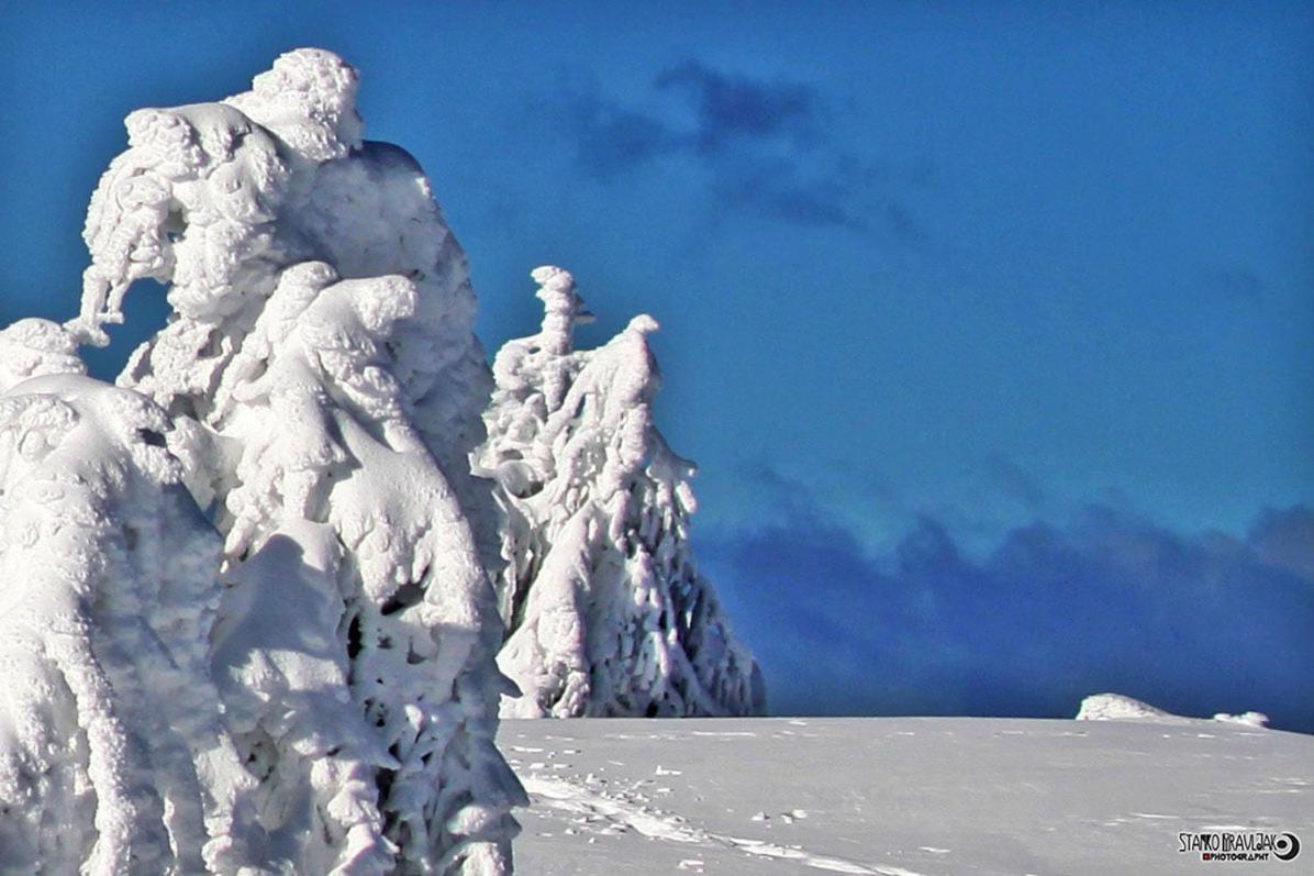 Natur Pur Pikovo Villa Črna na Koroškem Kültér fotó