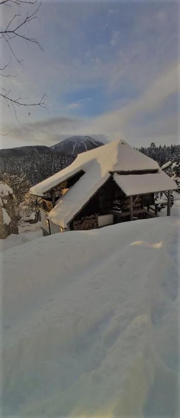 Natur Pur Pikovo Villa Črna na Koroškem Kültér fotó