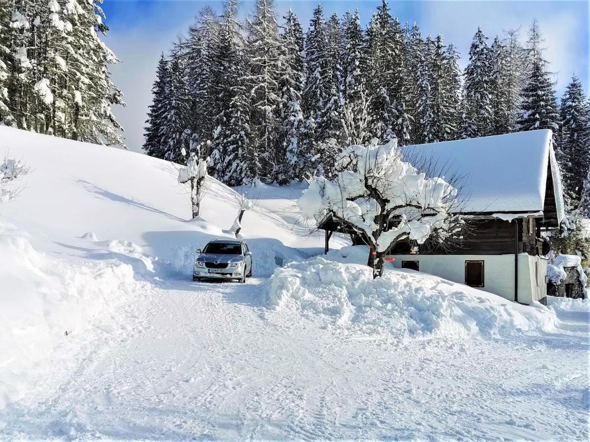 Natur Pur Pikovo Villa Črna na Koroškem Kültér fotó